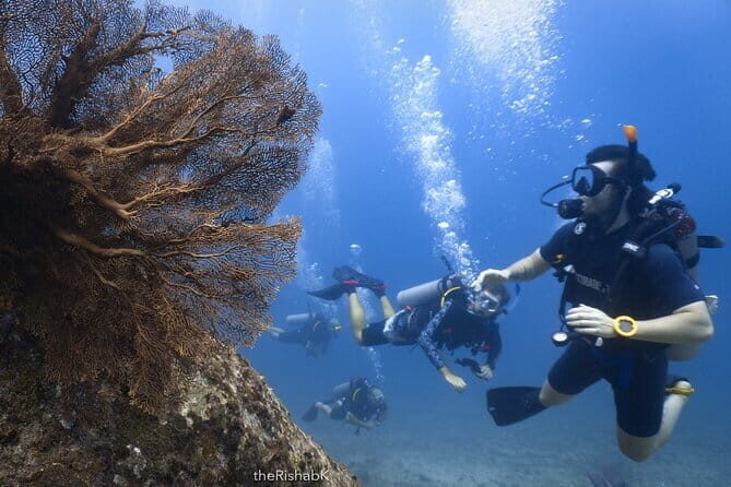 3 Fun Dives King Cruiser Wreck and Koh DokMai for Certified diver - Authentic Feedback We Loved