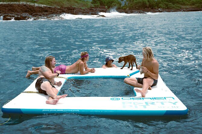 3 Hour Big Island Dolphin Watch Boat Tour, Snorkeling & BBQ Lunch - An In-Depth Look at the Big Island Dolphin Watch Boat Tour