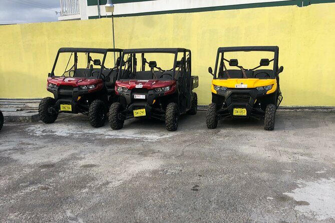 3-Hour Buggy Tour of New Providence (Inclusive of water & local deserts) - Key Points