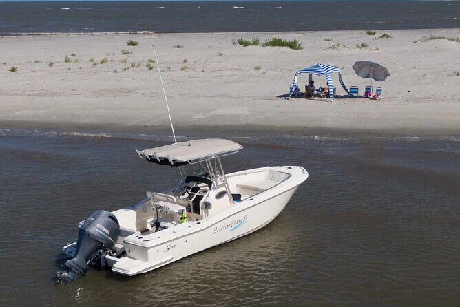 3 hour BYOB Morning Boat and Beach Excursion on Southern Charm - The Sum Up: Who Should Consider This Tour?