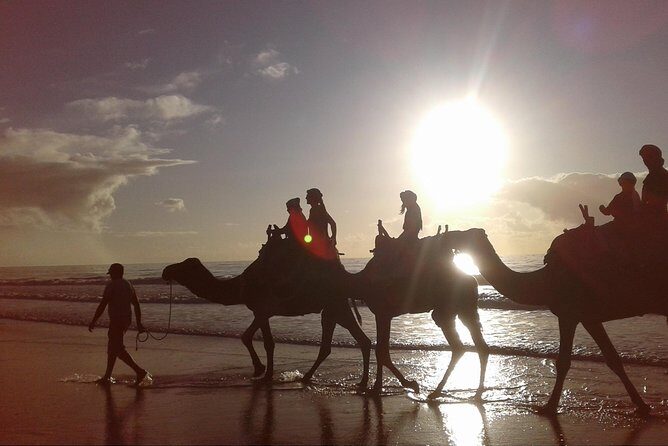 3-hour camel ride at sunset - Analyzing the Itinerary in Detail