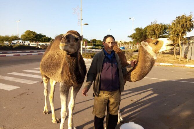3-hour camel ride at sunset - Practical Details and What to Expect
