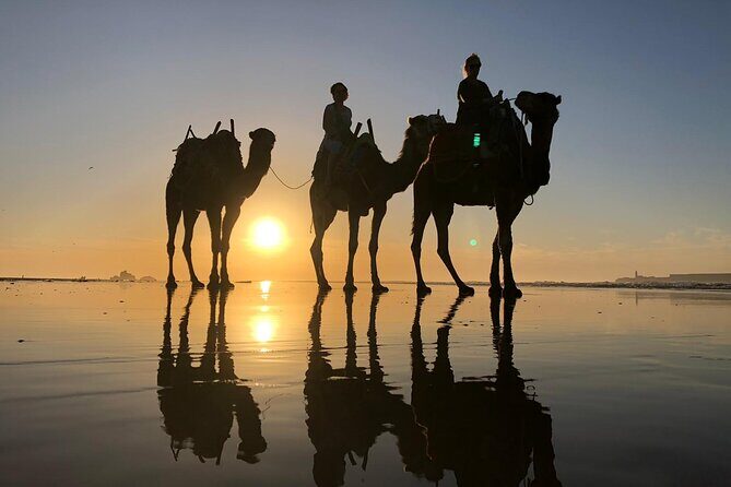 3-hour camel ride at sunset - Who Should Consider This Tour?