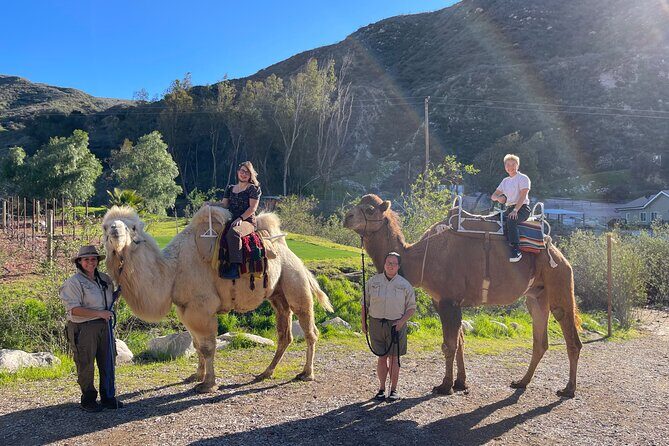 3 Hour Camel Trek into the Forest and Ranch in California - What to Expect: A Step-by-Step Look at the Tour