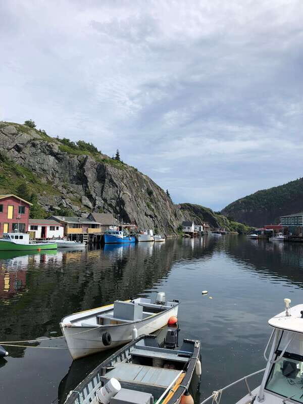 3 hour City Tour of St. John's, small group up to ten quests - Why This Tour Works Well