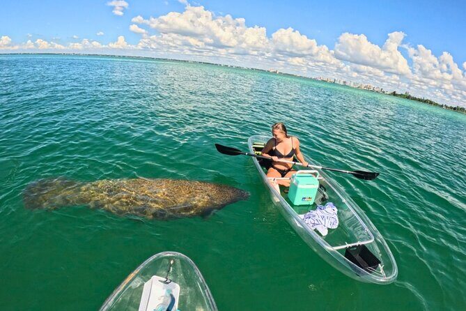 3-Hour Clear Kayak Beach Hopping Adventure in Sarasota - Key Points