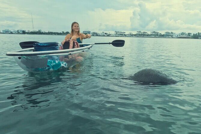 3-Hour Clear Kayak Beach Hopping Adventure in Sarasota - What’s Included and What to Expect