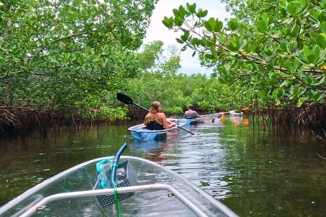 3-Hour Clear Kayak Beach Hopping Adventure in Sarasota - The Sum Up