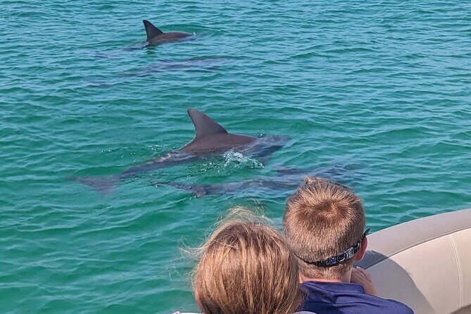 3 Hour Crab Island and Harbor Tour from Destin Non-Private - Why This Tour Stands Out