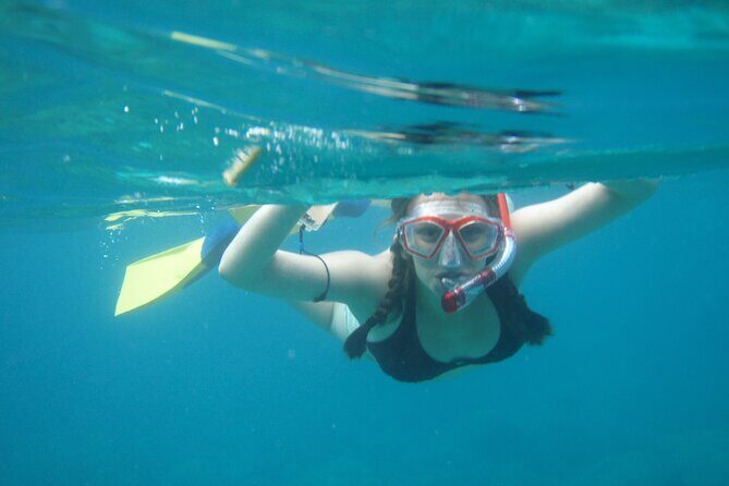 3 Hour Cruise & Swimming Excursion off Peanut Island Park - The Itinerary: What You Can Expect