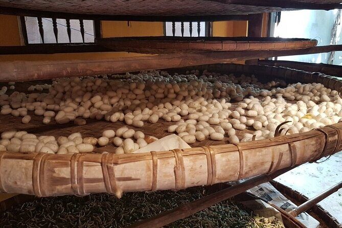 3-Hour Cultural Tour in Hoi An Silk Village with Local Meal - The Cultural Connection: Cham Influence and Handicrafts