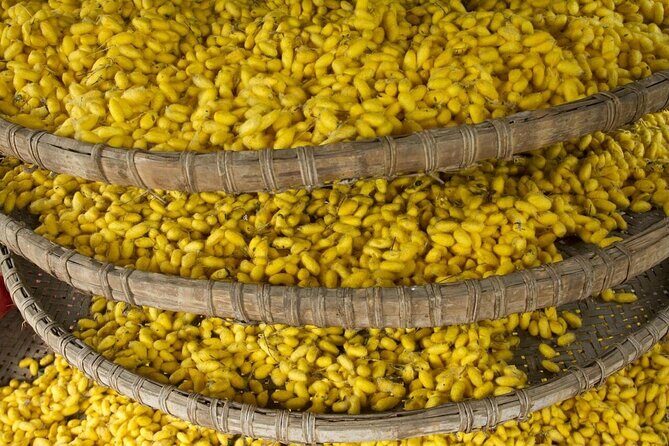 3-Hour Cultural Tour in Hoi An Silk Village with Local Meal - Price and Value Analysis