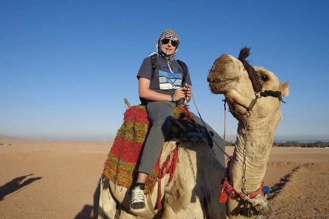 3-Hour Desert Safari ATV Quad Bike, Camel Ride, Transfer-Hurghada - Who Should Consider This Tour?