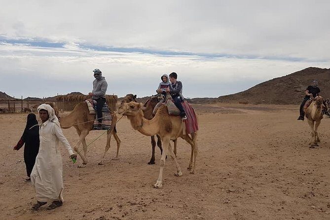 3-Hour Desert Safari Quad Bike and Camel Ride - Practical Tips for Your Desert Adventure