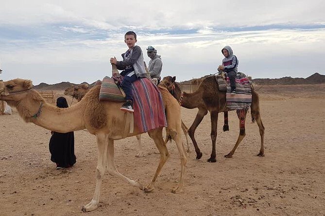 3-Hour Desert Safari Quad Bike and Camel Ride - Who Should Consider This Tour?