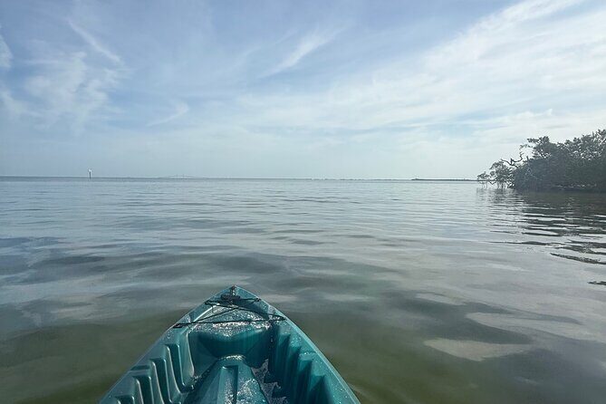 3 hour E.G. Simmons Park Mangrove Tunnel Tour - Who Will Enjoy This Tour?