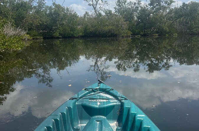 3 hour E.G. Simmons Park Mangrove Tunnel Tour - Final Thoughts