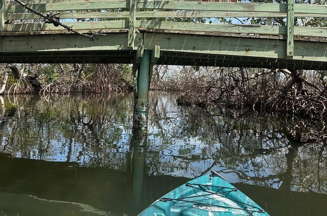 3 hour E.G. Simmons Park Mangrove Tunnel Tour - FAQ