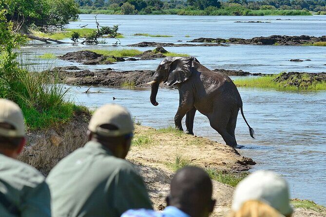 3 Hour Game Drive in Mosi-Oa-Tunya National Park - Analyzing the Price and Overall Value