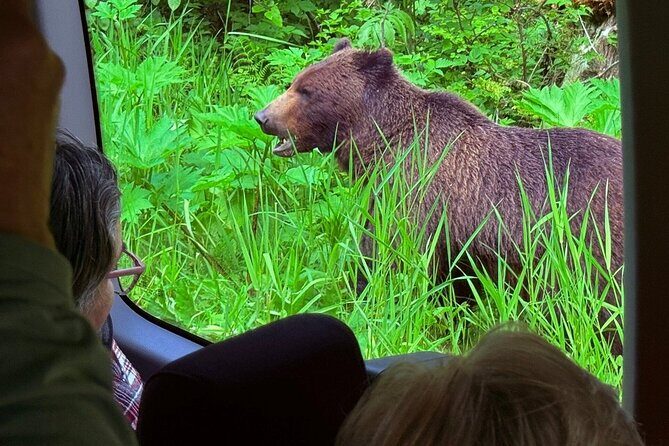 3 Hour Guided Driving Tour in Hoonah Alaska - Authentic Local Culture and History