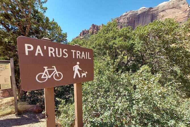 3 Hour Guided E Bike Tour in Zion National Park - The Experience: Pros and Cons