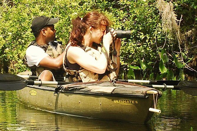 3 Hour Guided Mangrove Tunnel Kayak Eco Tour - The Adventure Begins: Detailed Breakdown of the Experience