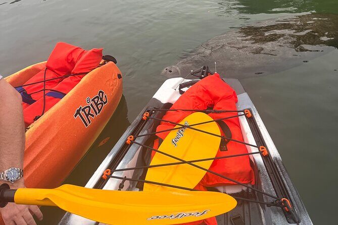 3 Hour Guided Single Kayak Adventure - Practical Details and Tips