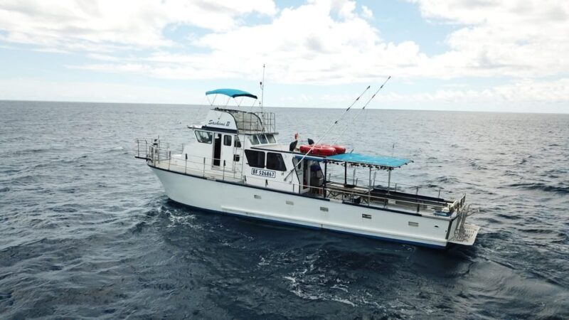3-Hour Honolulu Bottom Fishing Adventure - Insights from the Reviews