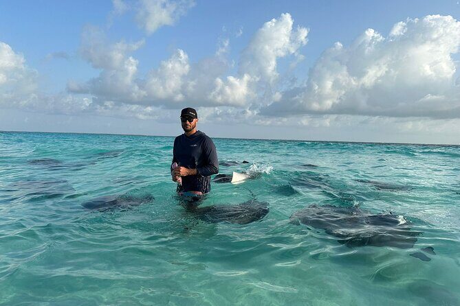 3 Hour Jet ski Adventure Swim with Rays and More - Practical Details: What You Need to Know