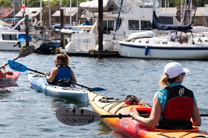 3 Hour Kayak in Vancouver with Coffee on the Beach - Frequently Asked Questions