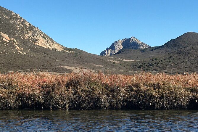 3-Hour Kayaking and Hiking in Californias Central Coast - Summary: Why You Should Book This Tour