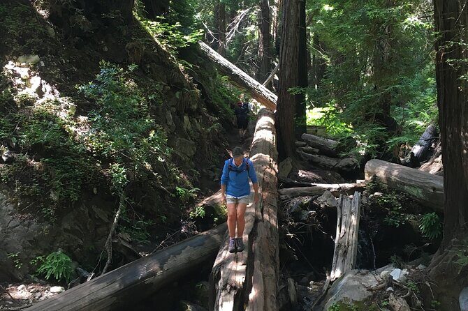 3-Hour Kayaking and Hiking in Californias Central Coast - Frequently Asked Questions