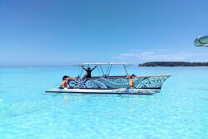 3-hour Lagoon Snorkeling Tour - Private Tour - Authentic Experiences and Past Guest Feedback