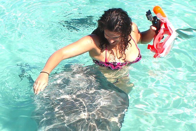3-hour Lagoon Snorkeling Tour - Private Tour - Practical Details