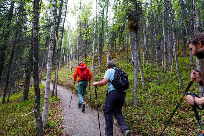 3 Hour Naturalist Walking Tour in Denali National Park - A Detailed Look at the Denali Naturalist Walking Tour