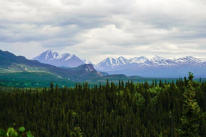 3 Hour Naturalist Walking Tour in Denali National Park - FAQ
