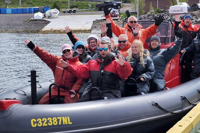 3 Hour Ocean Safari by Zodiac Boat -Whales & Icebergs seasonally - An In-Depth Look at the Ocean Safari Experience