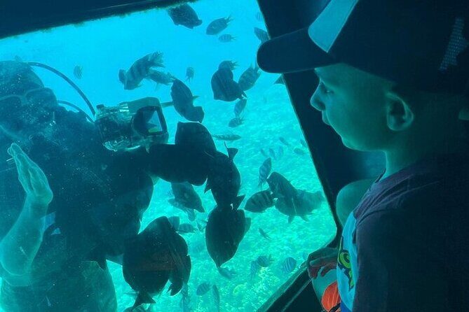 3 Hour Panorama by Semi Submarine Cruise w/ Transfer in Hurghada - Key Points