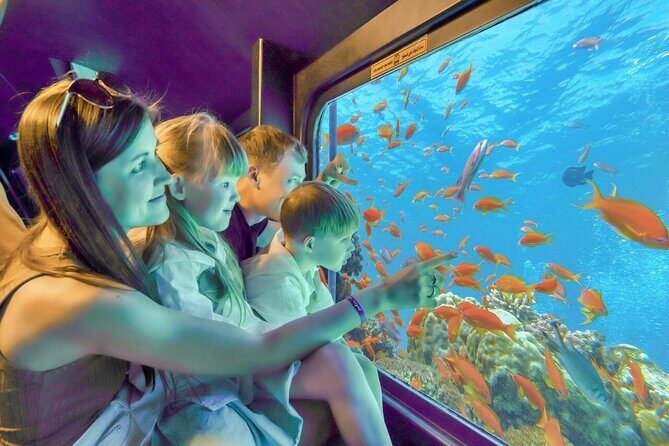 3 Hour Panorama by Semi Submarine Cruise w/ Transfer in Hurghada - Authentic Perspectives from Travelers