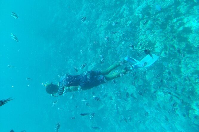 3 Hour Panorama by Semi Submarine Cruise w/ Transfer in Hurghada - The Practical Details: What You Need to Know