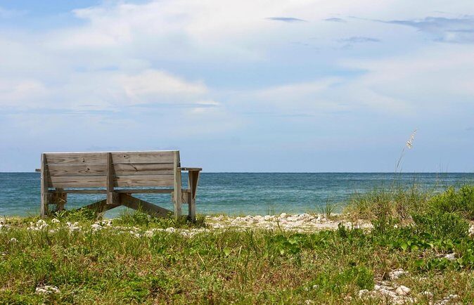 3-hour Private Boat Tour in Clearwater Florida Up to 6 People - Setting the Scene: What to Expect on This Private Boat Tour