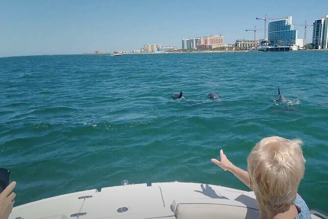 3-hour Private Boat Tour in Clearwater Florida Up to 6 People - Who Will Appreciate This Tour?