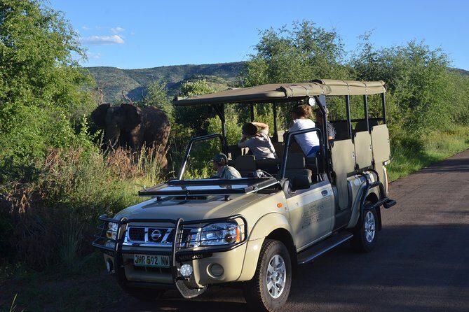 3-Hour Private Game Drive of Pilanesberg National Park - Why Guides Make All the Difference