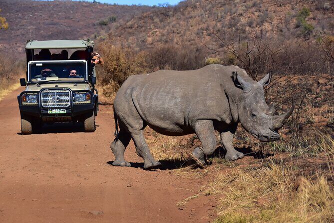3-Hour Private Game Drive of Pilanesberg National Park - Who Will Benefit Most from This Tour?