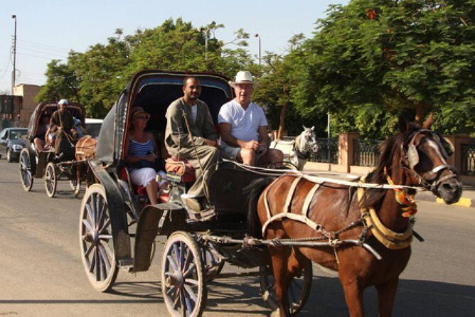 3-Hour Private Luxor Horse Carriage City Tour - The Value Proposition