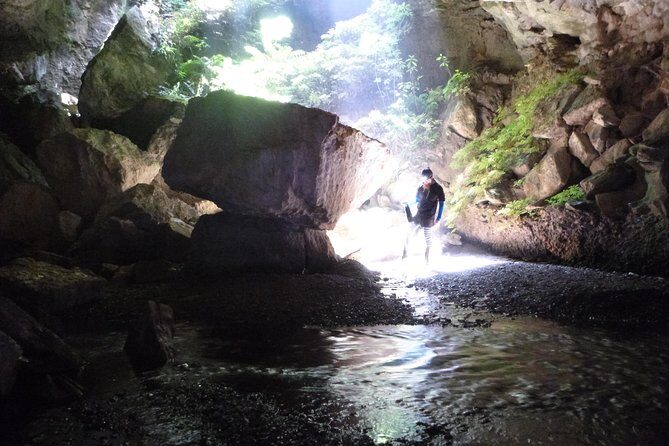 3-Hour Private Photography Tour in Waitomo Caves - Who Should Book This Tour?