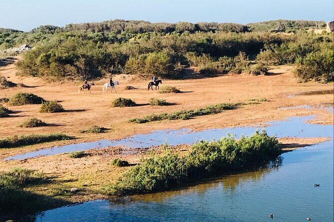 3-hour Private Ride between beach and dunes - In-Depth Look at the 3-Hour Horseback Ride