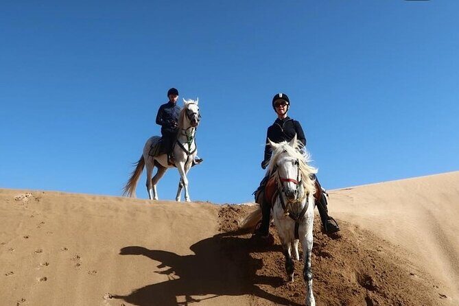3-hour Private Ride between beach and dunes - Who Will Love This Tour?