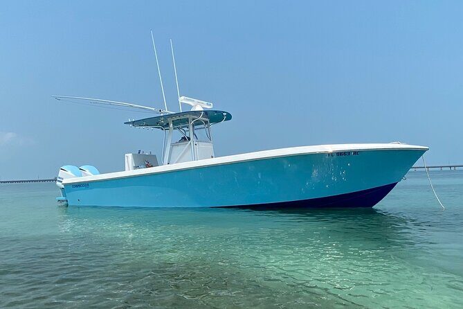 3 Hour Private Snorkeling in Marathon Florida - What Makes This Tour Special?