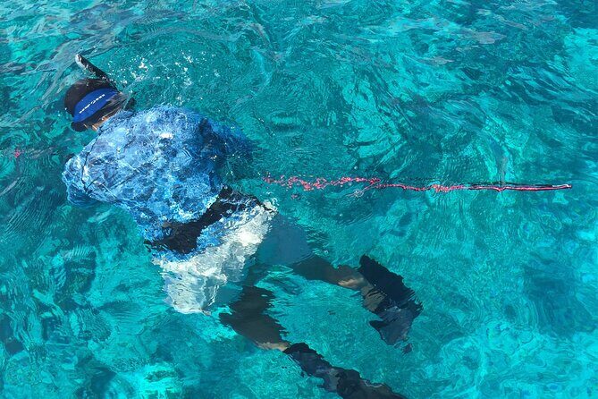 3 Hour Private Snorkeling in Marathon Florida - Who Will Love This Tour?